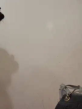 Snapshot of Dautay-mup chatting on March 2026 03:40:01 PM Dautay-mup online show from March 2026 03:40:01 PM