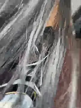 susi chimm online show from March 2026 04:55:01 PM