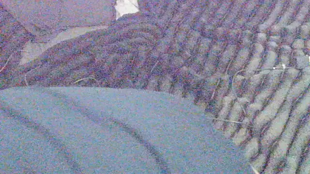 elong007 online show from April 2026 03:53:02 PM