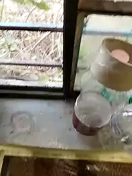 blackbeauty321 online show from February 2026 11:20:01 AM