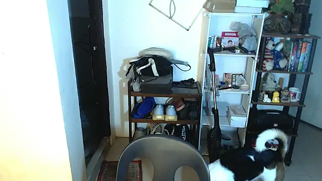 sweetasian zoe online show from May 2026 04:12:01 PM