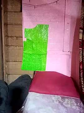 Meo-catwet online show from March 2026 02:05:02 PM