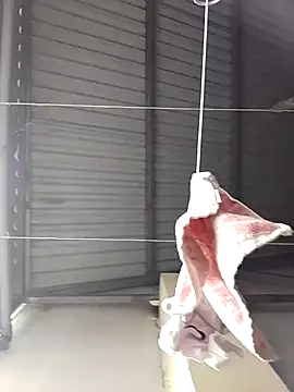 Jinnie sexy online show from March 2026 05:37:02 AM