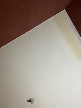 Snapshot of MoonGoddess424 chatting on February 2026 04:10:02 AM MoonGoddess424 online show from February 2026 04:10:02 AM