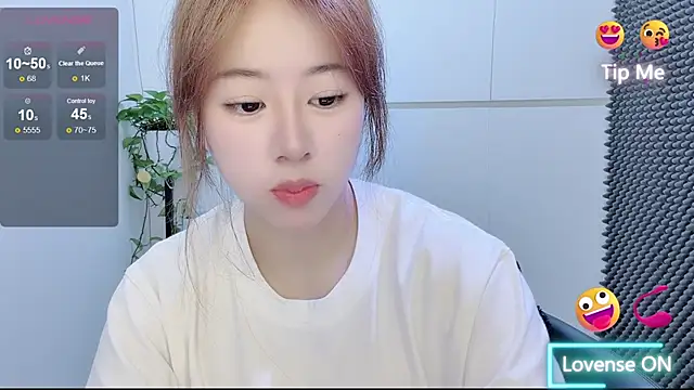 Snapshot of Baixi-01 chatting on July 2026 04:19:01 AM Baixi-01 online show from July 2026 04:19:01 AM
