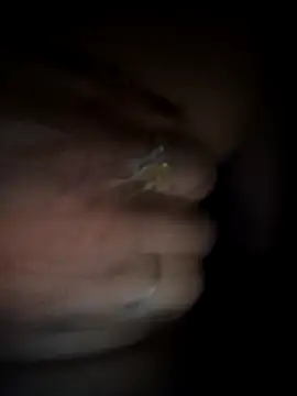 Rashmika Mandana online show from March 2026 06:55:02 PM