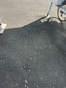 portostrip online show from April 2026 01:39:01 PM