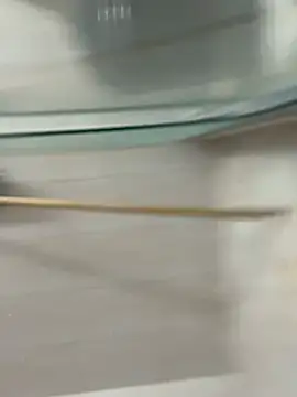 David-latinlover online show from March 2026 10:43:02 PM