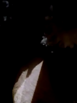 Adix 02six online show from April 2026 01:55:02 AM