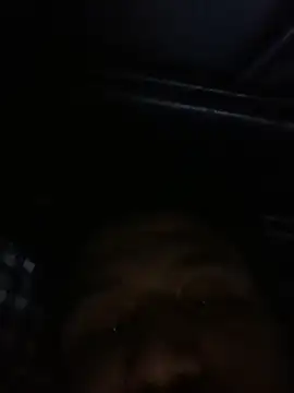 lubeitupguy online show from March 2026 10:47:01 PM