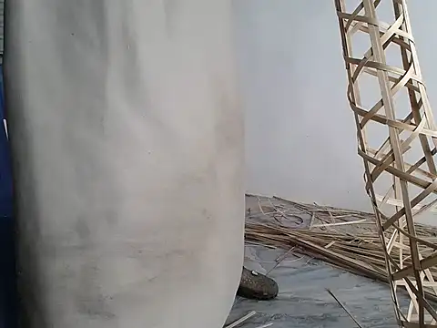 Snapshot of Maila88a chatting on April 2026 05:15:01 AM Maila88a online show from April 2026 05:15:01 AM