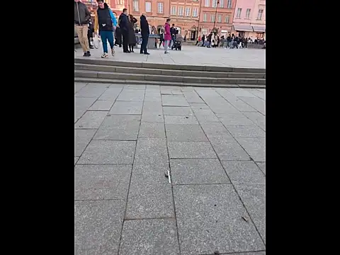 PublicMarekFlashDick online show from March 2026 02:44:01 PM