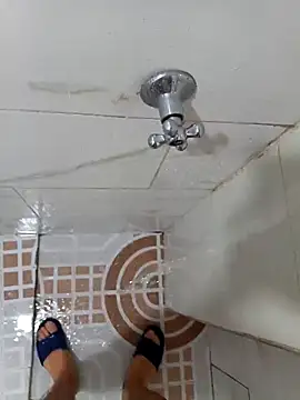 deltaforz online show from March 2026 03:44:01 AM