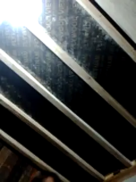 YAONIKUTE online show from April 2026 10:18:02 PM