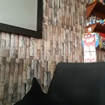 jhosuamoore online show from March 2026 07:52:01 PM