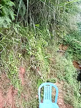 kalara kail online show from April 2026 12:35:02 AM