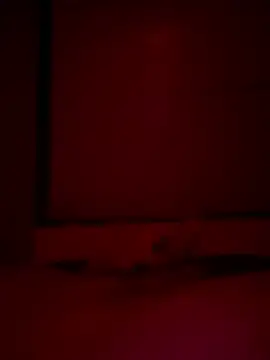 Snapshot of Foxmen9090 chatting on March 2026 01:31:02 AM Foxmen9090 online show from March 2026 01:31:02 AM