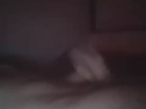 Snapshot of Foxmen9090 chatting on March 2026 04:29:02 AM Foxmen9090 online show from March 2026 04:29:02 AM