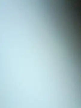 bojo888 online show from March 2026 09:08:01 PM