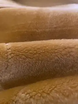 Ashwak trans online show from April 2026 12:02:01 PM