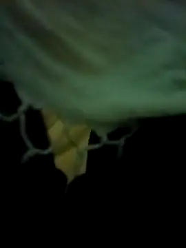 yourdreamman007  online show from March 2026 11:27:02 PM