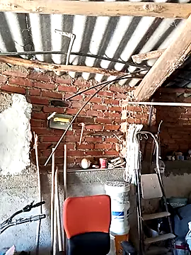 mecaloco online show from April 2026 11:29:01 AM