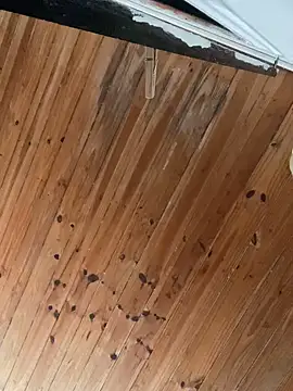 Snapshot of Juliett06 chatting on April 2026 04:26:02 PM Juliett06 online show from April 2026 04:26:02 PM