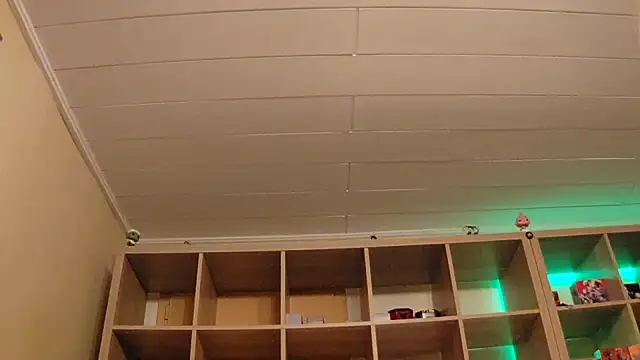 Snapshot of SilvyDiamond chatting on April 2026 07:36:01 PM SilvyDiamond online show from April 2026 07:36:01 PM