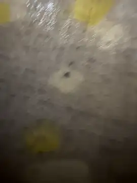 xezie online show from April 2026 09:58:02 AM