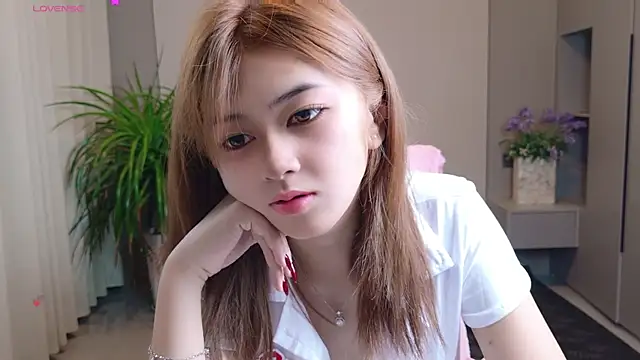 DoDo-2026 online show from May 2026 06:31:02 PM