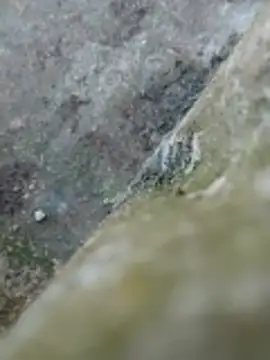 Couple69sexe online show from April 2026 04:19:01 PM