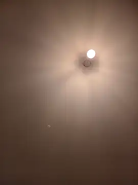 Snapshot of Dietosca chatting on April 2026 02:28:01 AM Dietosca online show from April 2026 02:28:01 AM