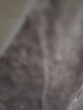 sk022 online show from April 2026 06:26:01 PM