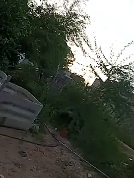  - - putinha - - online show from April 2026 08:21:01 PM