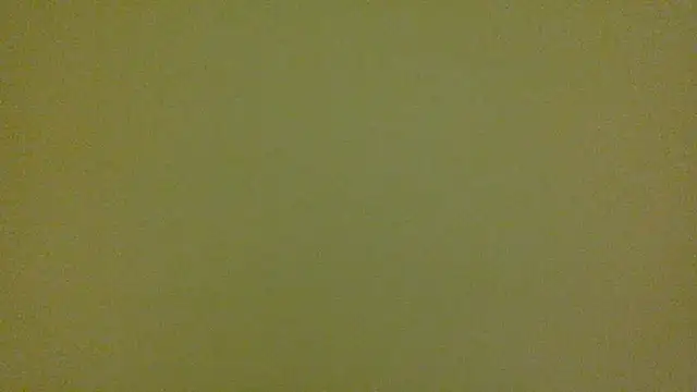 average jack online show from April 2026 11:29:02 PM