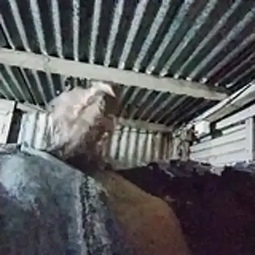 PUNEPLAYBOY2 online show from April 2026 03:04:01 PM