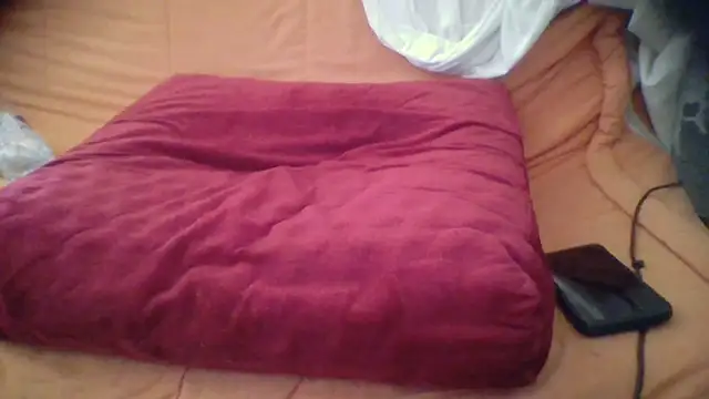 francesc0001 online show from April 2026 08:13:01 AM