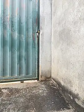 Showwspordezreais online show from April 2026 05:26:01 PM