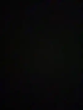 velvetpython online show from May 2026 06:10:01 AM