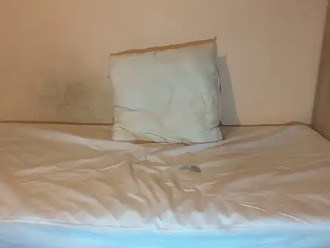 crazytranny online show from January 2025 09:24:01 PM