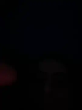 eu marko online show from April 2026 05:08:02 PM