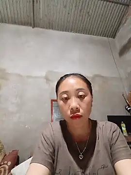 Jinli 01 online show from July 2026 01:19:01 PM