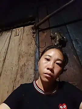 Jinli 01 online show from July 2026 09:36:02 PM