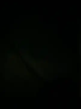 slutytransgal online show from May 2026 02:08:02 AM