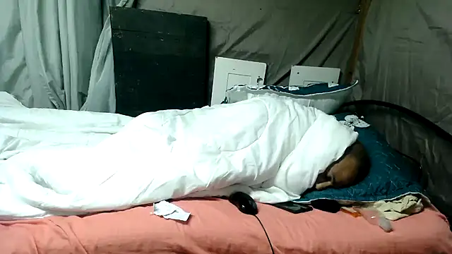 Snapshot of Camodick chatting on June 2026 01:26:02 AM Camodick online show from June 2026 01:26:02 AM