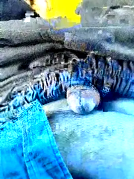 indiandeshi online show from June 2026 02:21:01 AM