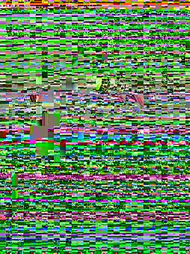 ck1998 02 online show from June 2026 09:59:02 AM