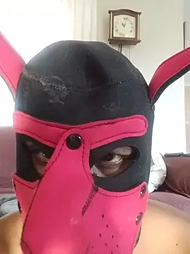 sillybonker online show from May 2026 09:04:01 AM