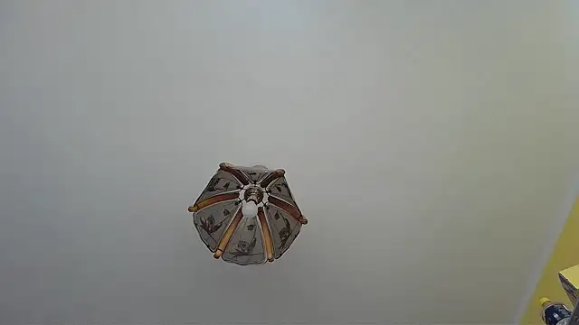 Butterfly PL online show from July 2026 08:07:02 AM