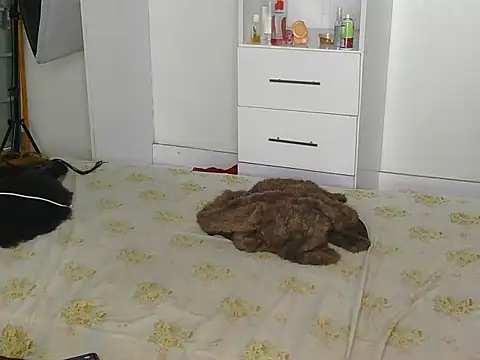 SexyLi  online show from July 2026 02:21:02 AM